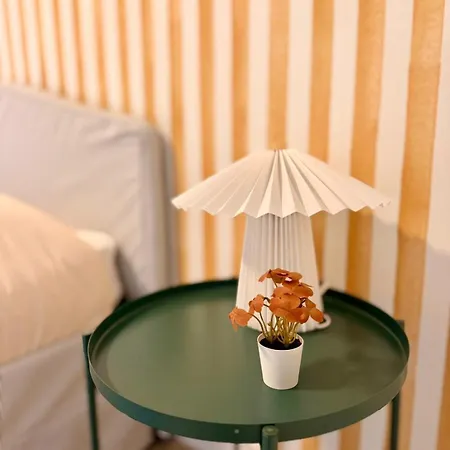 New Two-room Apartment, Center, Sleeps 4, Balcony 格勒诺布尔